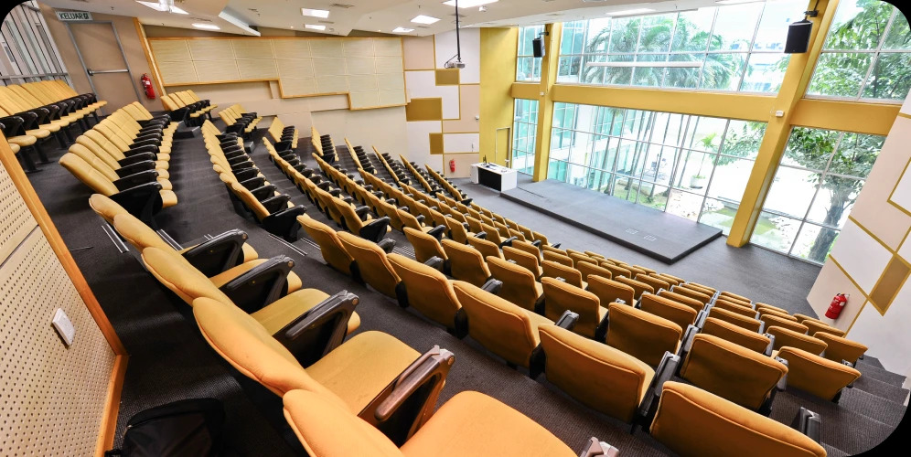 泰莱大学